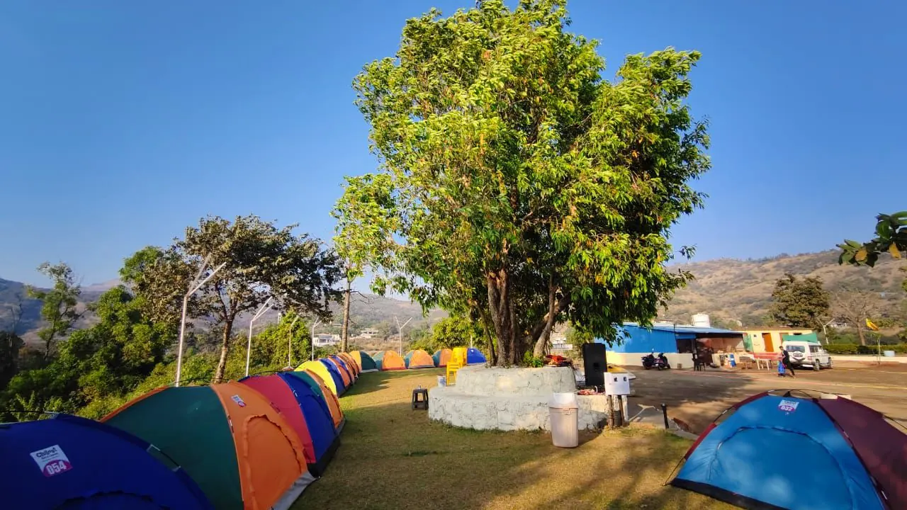 Camp area with tents and a large shade tree